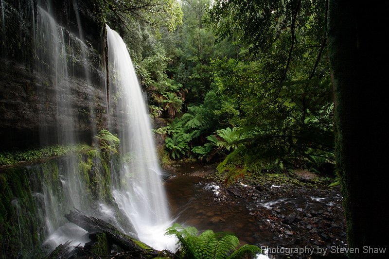 Russell Falls 2 Russell Falls, Mt Field NP, Tasmania